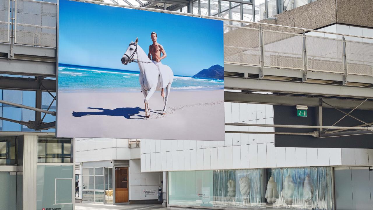 Ein großes Innenbanner zeigt eine Person auf einem weißen Pferd am Strand. Der Bereich ist geräumig, mit moderner Architektur und Glaswänden.
