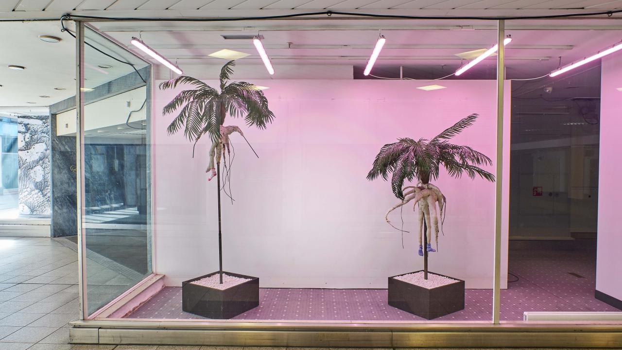 Zwei künstliche Palmen mit freiliegenden Wurzeln werden in einem Glasfenster unter rosa Beleuchtung präsentiert.