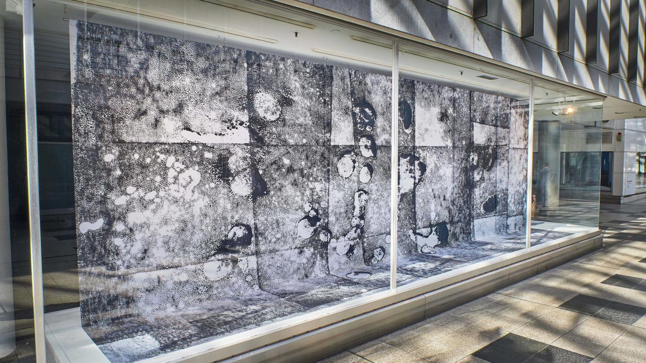 Monochrome abstrakte Kunstwerke mit strukturierten Mustern und geometrischen Formen, die hinter einem Glasfenster in einer modernen Galerieumgebung ausgestellt sind.