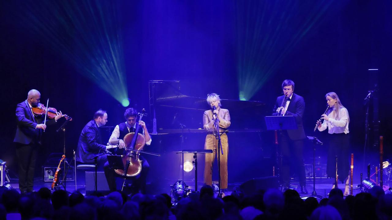 Wallis Bird & Spark Performance