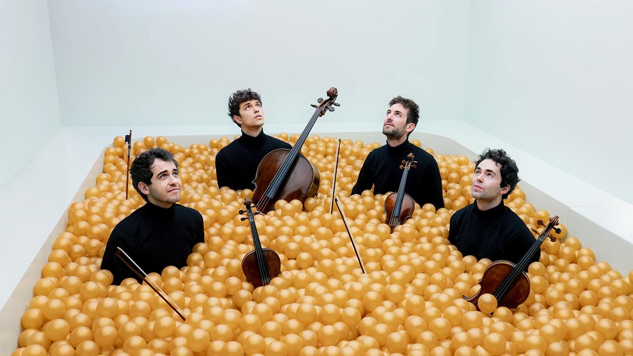 vision string quartet